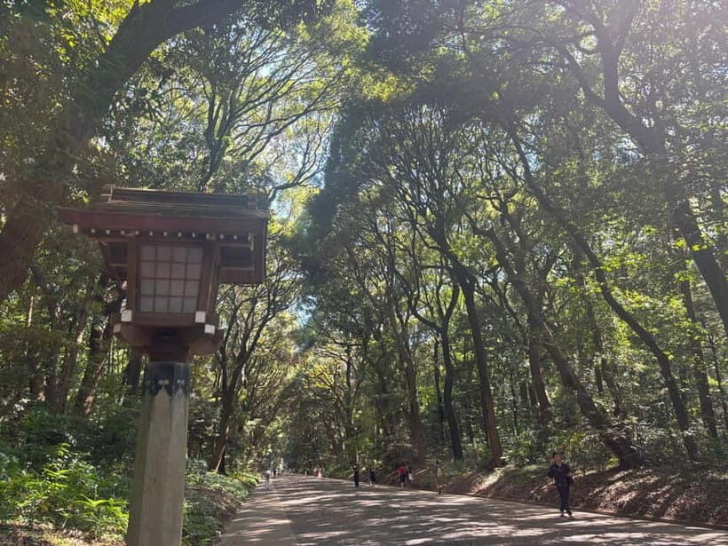 Tokyo: Meiji Jingu, Yoyogi Park & Takeshita Street Tour - Key highlights at a glance