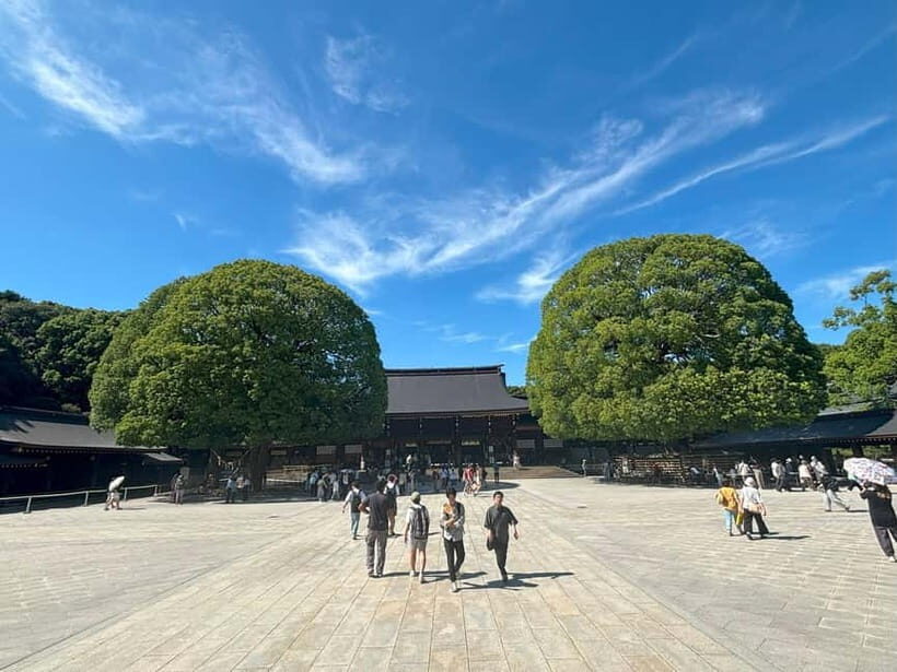 Tokyo: Meiji Jingu, Yoyogi Park & Takeshita Street Tour - Who this tour suits best