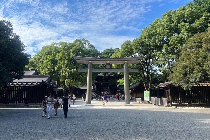 Tokyo: Meiji Shrine and Shinto Culture Walking Tour - Price and value: $18 for a “translator” of etiquette