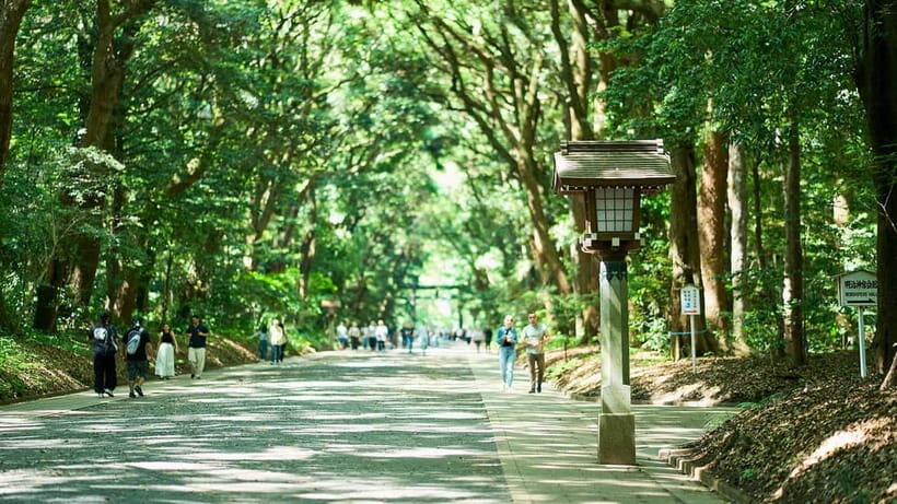 Tokyo: Meiji Shrine Walking Tour — Shinto & Imperial System - Key highlights I’d pencil into your day