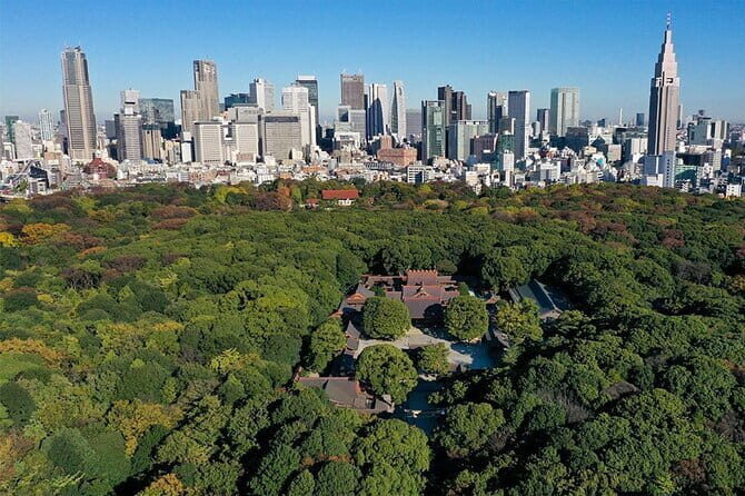 Tokyo: Meiji Shrine Walking Tour — Shintoism & Imperial System - A 90-Minute Escape to Meiji Jingu’s Calm