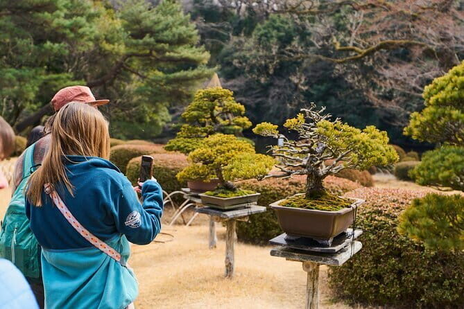 Tokyo: Meiji Shrine Walking Tour — Shintoism & Imperial System - Through the Forest Path: Torii Gates, Sake Barrels, and Purification