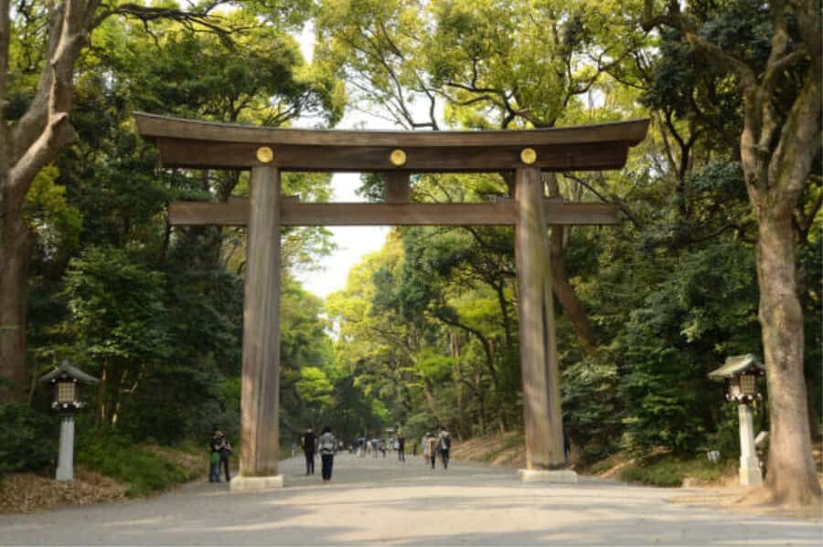 Tokyo: Meiji Shrine Walking Tour with Local Guide - Torii gate etiquette: bowing and walking on the correct side