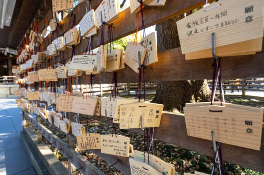Tokyo: Meiji Shrine Walking Tour with Local Guide - Turtle stone and sazare stone: learning to read the details