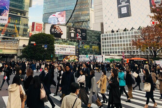 Tokyo Morning City Tour with Pick-up Service from 28 Hotels - Quick hits before you go