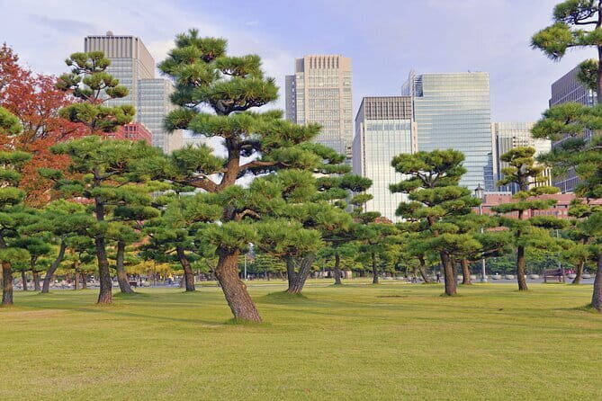 Tokyo Morning Small Group Tour - Imperial Palace Outer Gardens: calm, open space, and a quick culture reset