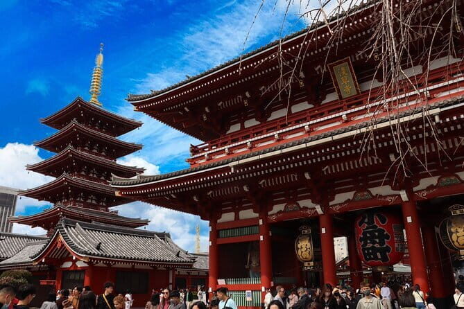 Tokyo Morning Tour : Meiji Shrine, Asakusa and Fish Market - Asakusa and Senso-ji: Thunder Gate Into Shopping Street Energy