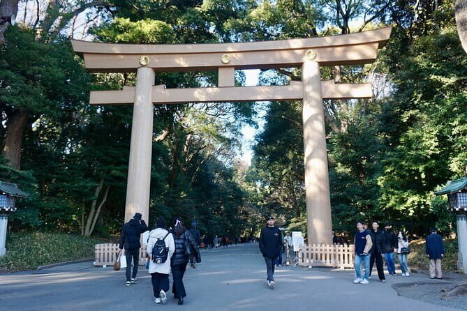 Tokyo Morning Tour : Meiji Shrine, Asakusa and Fish Market - Price and Value: What $72.67 Actually Buys