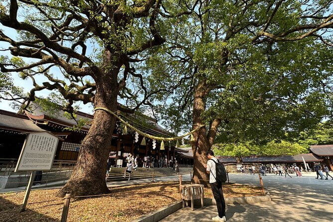 Tokyo Morning Tour : Meiji Shrine, Asakusa and Fish Market - Logistics That Matter: Where You Meet and How You End