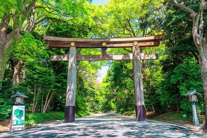 Tokyo Morning Tour : Meiji Shrine, Asakusa and Fish Market - Meiji Jingu: The Shrine Walk That Changes Your Pace