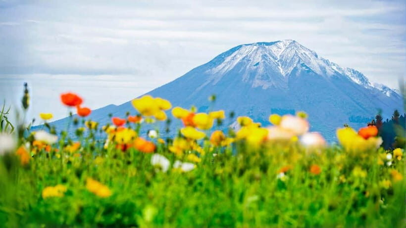 Tokyo: Mount Fuji 5th Station & Onsen Day Trip - If 5th Station is closed: the Shinkurayama Asama Park swap
