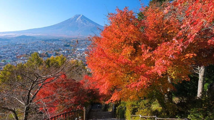 Tokyo: Mount Fuji 5th Station & Onsen Day Trip - The Fuji-photo “schedule feel”: bus time, stop timing, and crowds