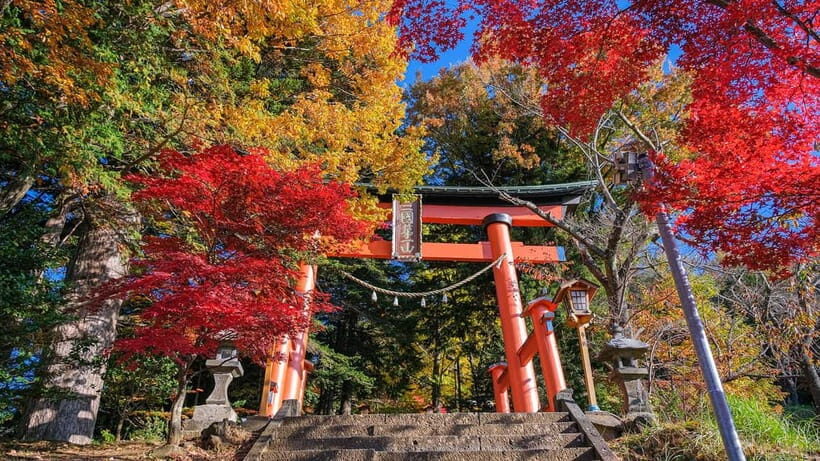 Tokyo: Mount Fuji 5th Station & Onsen Day Trip - The guide factor: when it works well, it’s excellent