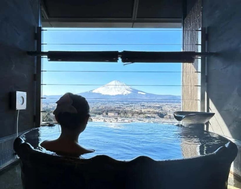Tokyo: Mount Fuji 5th Station & Onsen Day Trip - Who should book this Fuji day trip