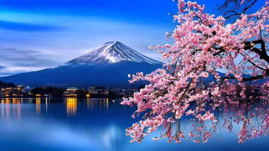 Tokyo: Mount Fuji and Hakone private sightseeing tour - Two routes: how to choose between Fuji’s lakes or Hakone’s thermal sights