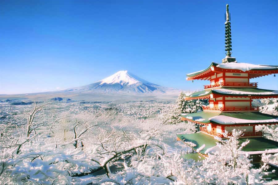 Tokyo: Mount Fuji Day Trip with Scenic & Local Stops - Key Takeaways Before You Go