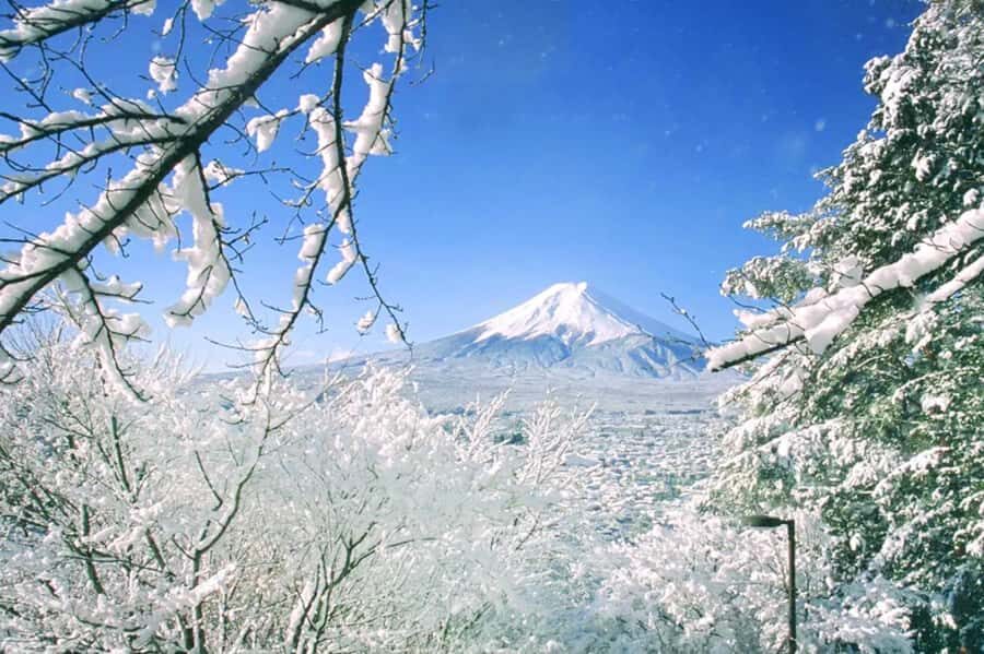 Tokyo: Mount Fuji Day Trip with Scenic & Local Stops - Entering The Fuji Route From Tokyo: What Makes It Work