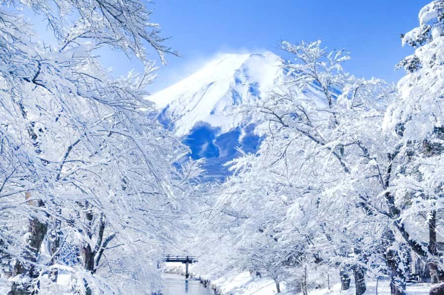 Tokyo: Mount Fuji Day Trip with Scenic & Local Stops - Fuji Lawson Store: A Small Photo Break With Snack Payoff