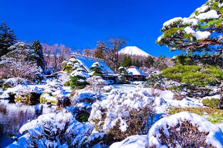 Tokyo: Mount Fuji Day Trip with Scenic & Local Stops - Timing, Transport, and Why the Day Feels Full