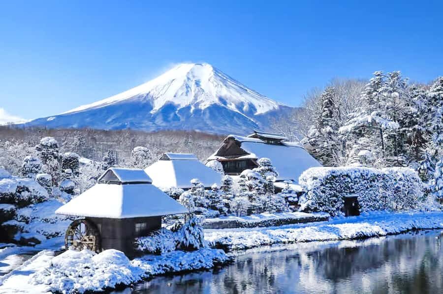 Tokyo: Mount Fuji Day Trip with Scenic & Local Stops - Value and the Real Cost: Why $44 Can Make Sense