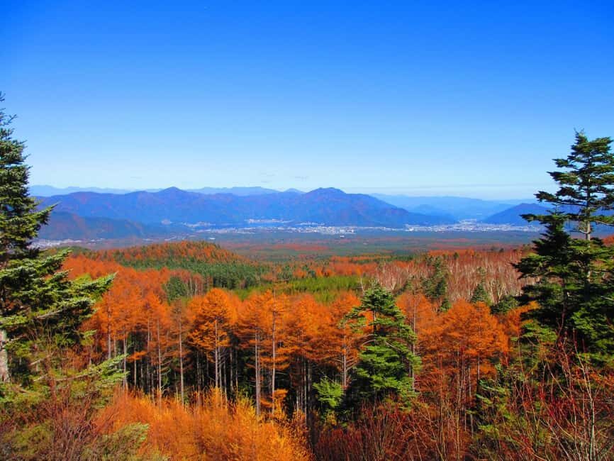 Tokyo: Mount Fuji, Gotemba & Hakone Day Trip by Luxury Bus - Key points worth knowing
