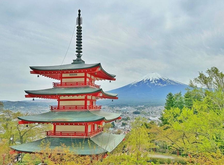 Tokyo: Mount Fuji & Hakone Private Customized Full Day Tour - Key things to know before you go