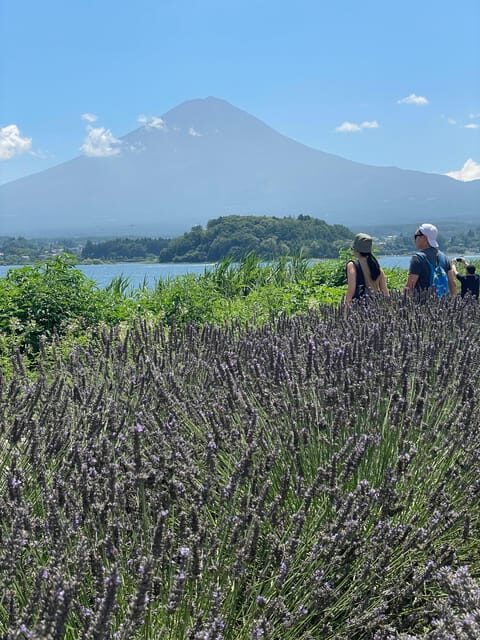 Tokyo: Mount fuji & Hakone Private Day Tour - Arakurayama Sengen Park and the Chureito Pagoda view in one pocket of time