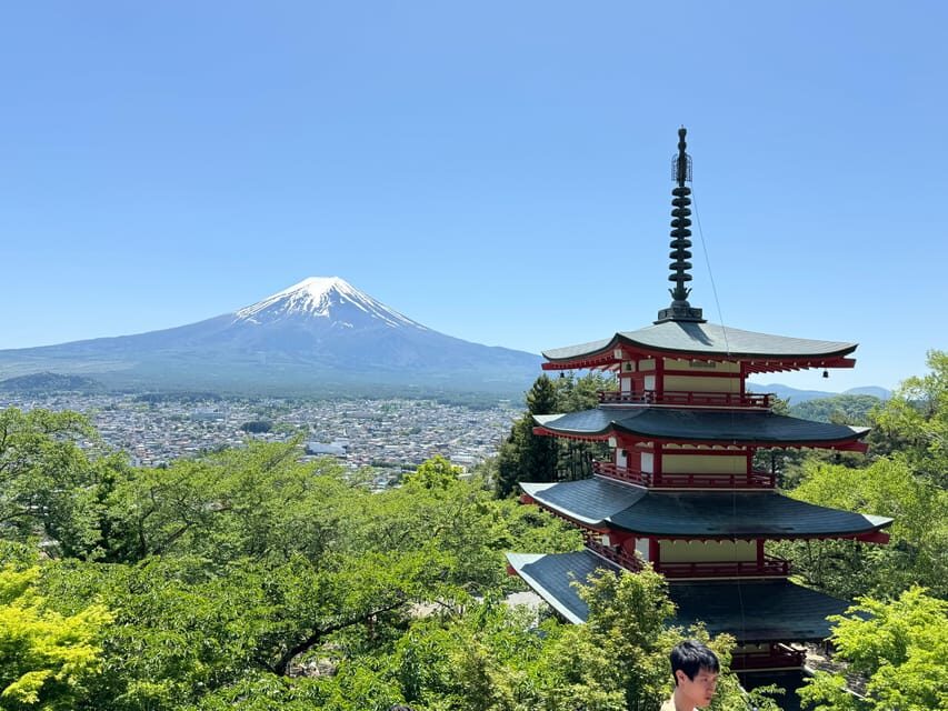 Tokyo: Mount fuji & Hakone Private Day Tour - Oishi Park: flower views and Fuji across the water
