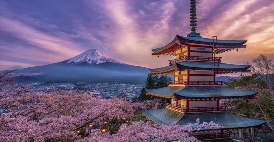 Tokyo: Mount Fuji & Hakone Private Tour with Guide - A private Fuji-and-Hakone day that avoids the stress