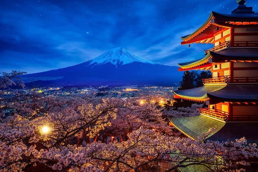 Tokyo: Mount Fuji & Hakone Private Tour with Guide - Who this tour fits best