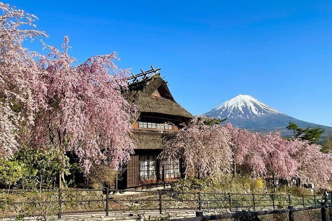 Tokyo: Mount Fuji Must-see Attractions One Day Sightseeing Tour - Guide Energy and Live Commentary: What Makes the Day Feel Worth It
