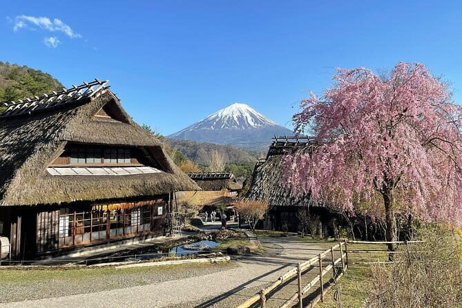 Tokyo: Mount Fuji Must-see Attractions One Day Sightseeing Tour - Price and Logistics: Why $60 Can Still Feel Like Good Value