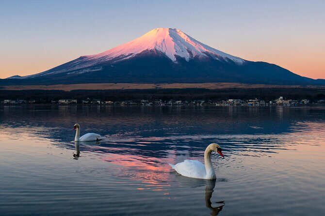 Tokyo: Mount Fuji One Day Trip Lake Kawaguchi & Lake Yamanaka - Lake Yamanaka: Swan Lake and closer Fuji angles