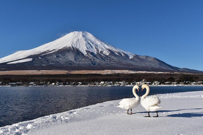 Tokyo: Mount Fuji One Day Trip Lake Kawaguchi & Lake Yamanaka - Oshino Hakkai: eight ponds and a quieter kind of interest