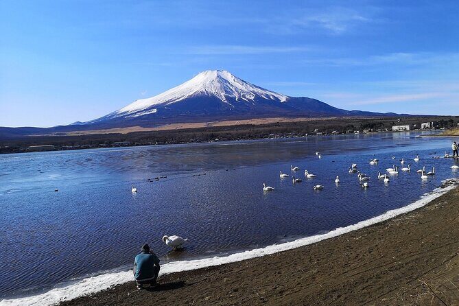 Tokyo: Mount Fuji One Day Trip Lake Kawaguchi & Lake Yamanaka - Lawson Fujikawaguchiko Town Hall: the fast, fun photo-and-snack stop