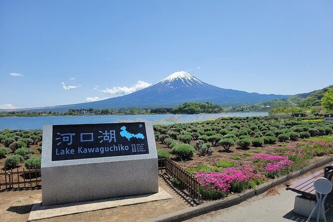 Tokyo: Mount Fuji One Day Trip Lake Kawaguchi & Lake Yamanaka - Chureito Pagoda and Arakura Fuji Sengen Shrine: panoramic payoff