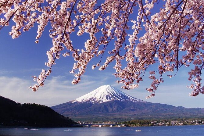 Tokyo: Mount Fuji One Day Trip Lake Kawaguchi & Lake Yamanaka - Getting rolling from Marunouchi at 8:00am
