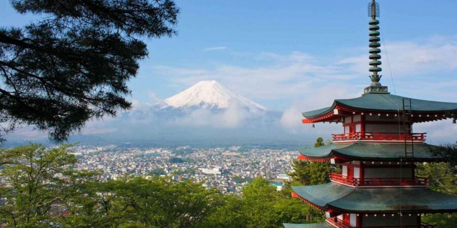 Tokyo: Mount Fuji Private Tour with Scenic Lunch Experience - Key things I’d watch for