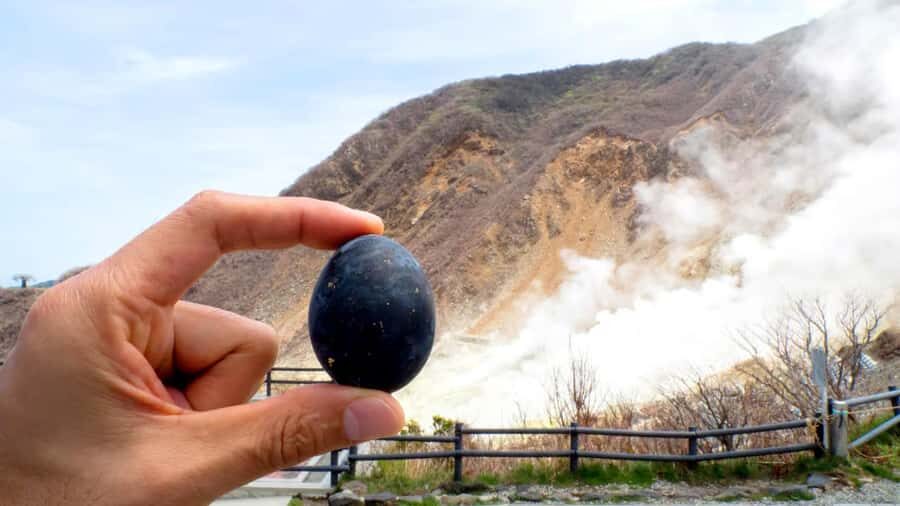 Tokyo: Mount Fuji Views and KABA Amphibious Bus Day Tour - A quick word on the included stop: Hirano Nohama