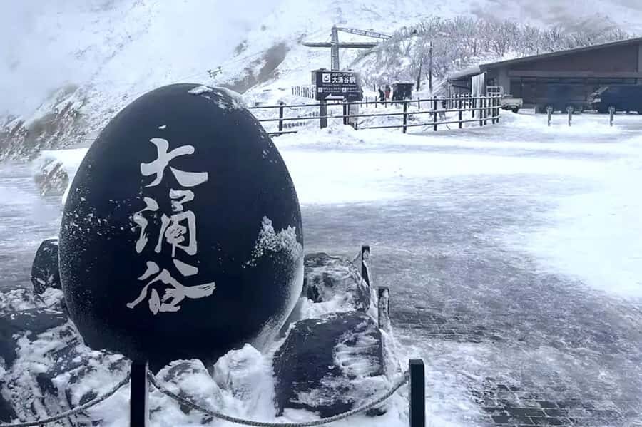 Tokyo: Mount Fuji Views and KABA Amphibious Bus Day Tour - Price and value: is $44 a fair deal?