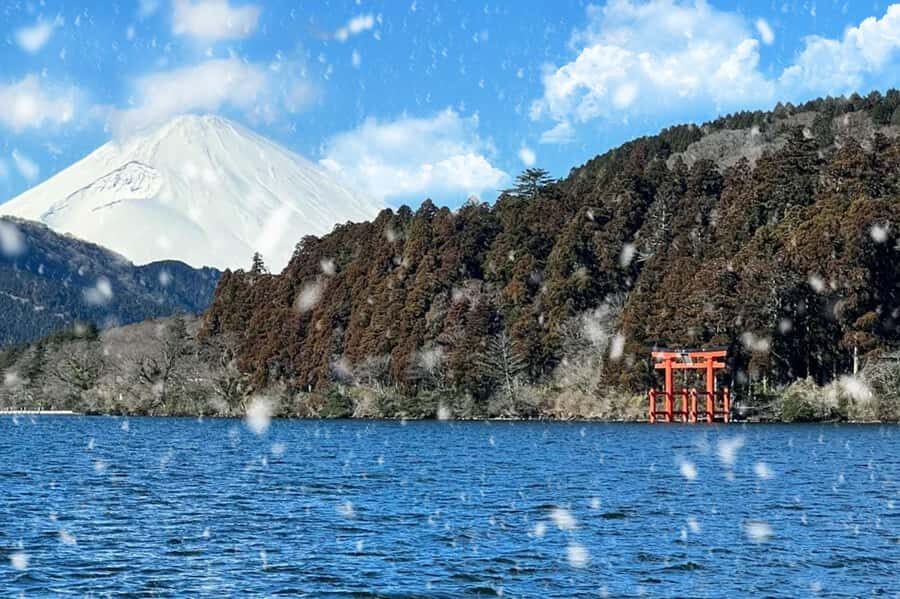 Tokyo: Mount Fuji Views and KABA Amphibious Bus Day Tour - Oishi Park and the Fuji backdrop you can photograph all day