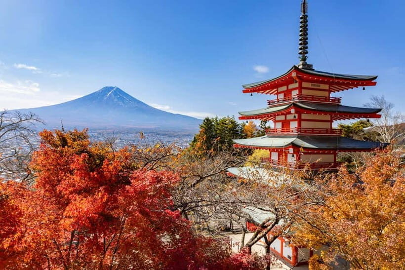 Tokyo: Mt. Fuji, Arakurayama Sengen Park, Oshino Hakkai Tour - Key moments that make this tour worth your time