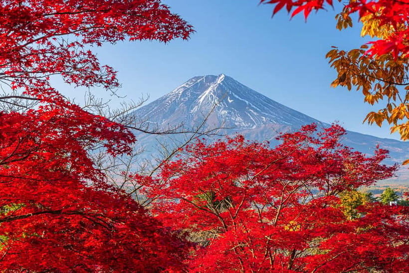Tokyo: Mt. Fuji, Arakurayama Sengen Park, Oshino Hakkai Tour - A Fuji day trip from Shinjuku that runs about 9.5 hours