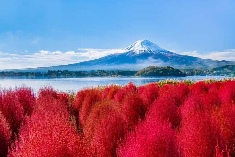 Tokyo: Mt. Fuji, Arakurayama Sengen Park, Oshino Hakkai Tour - Arakurayama Sengen Park: the Fuji-and-pagoda view by season