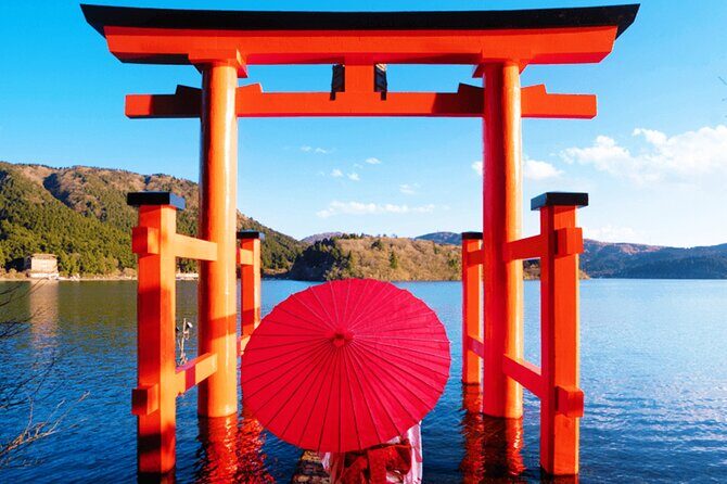 Tokyo: Mt. Fuji Cruise & Hakone Ropeway Day Trip by Bus - Lake Ashi cruise plus the floating torii photo moment