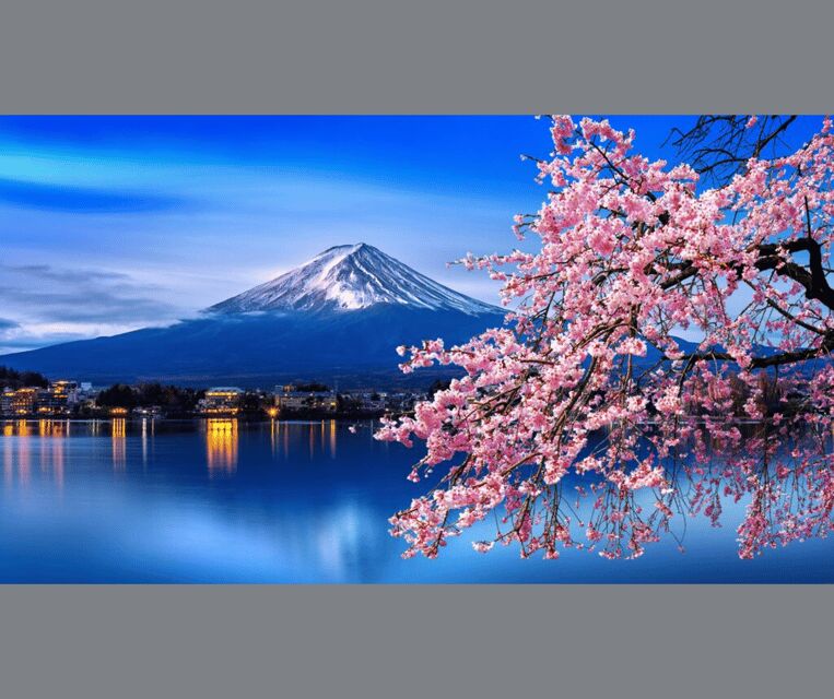 Tokyo: Mt. Fuji & Hakone Cherry Blossoms Private Day Tour - Key highlights worth your attention