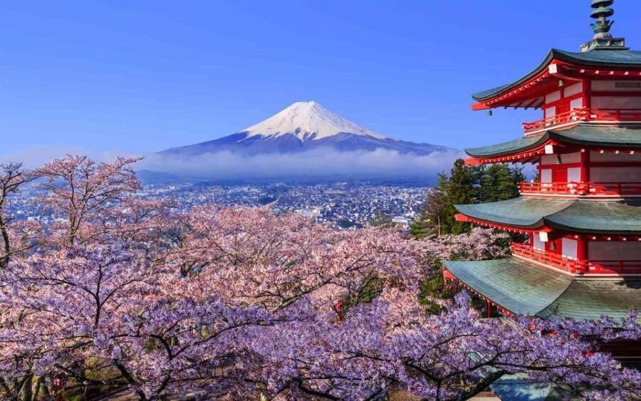Tokyo: Mt. Fuji & Hakone Cherry Blossoms Private Day Tour - One-day Tokyo to Fuji and Hakone: what this tour is really good at