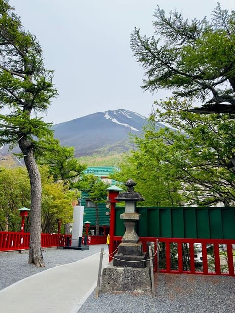 Tokyo: Mt. Fuji & Hakone Cherry Blossoms Private Day Tour - Chureito Pagoda and cherry blossom stroll: the photo you came for