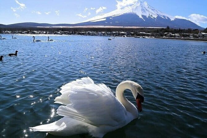 Tokyo Mt. Fuji Hakone Shrine, Owakudani, Lake Yamanakai Day Tour - Owakudani Valley: The Volcano Stops Being a Theory