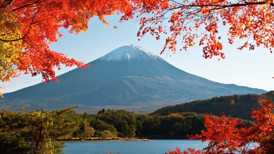 Tokyo: Mt. Fuji Hidden Gems and Aokigahara Forest Tour - A 10-hour Mt. Fuji detour that stays off the crowd treadmill